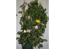 ����� 002.jpg