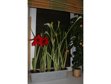 �� 4-��� 007.jpg