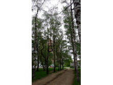 P1000487_.JPG