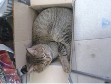 2012-05-04 15.58.31.jpg