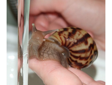 ��� �����?!!