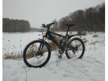 ��� ������ ���