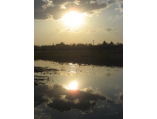 17.05.2009 16:23:36
