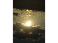 17.05.2009 16:23:09