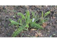 �������������