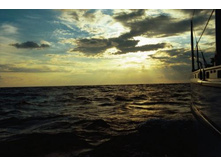 �� ������