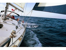 ������������ ��������� ����