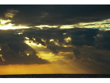 ������� ������ ����� �������