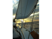 ������� �� ���� ������