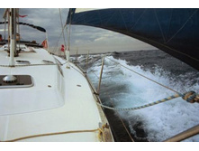 �� ������ ��� �� ������