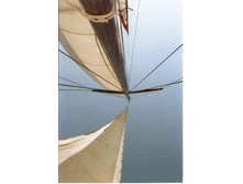 � �������� ���� ������