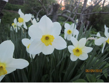 �������, ���������, �� ������ � ������ ������������