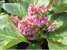 ����� �������������. ���ԣ� ������. ������ �������� ��������� � ��� ���� ������ � ��������.