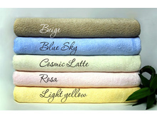 ����� ���������