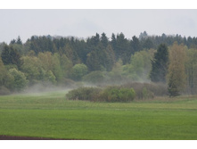 ����� ����� �����