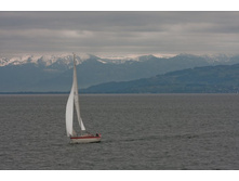 ��. ��������, ����, �����