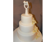 ��������� ����� �����.jpg