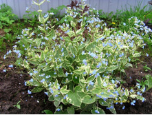 �������� ���. ����.JPG