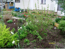 ������� ���������.JPG