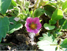 ���������� �����..JPG