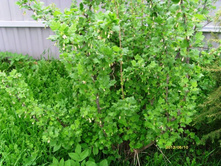 ��������� ������.JPG