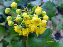 ������� ���������.JPG