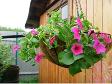 ������� �� ����.JPG