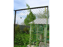 ���� ���������.JPG