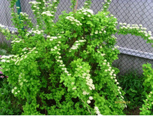 ������ �������� ������.JPG