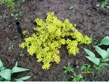 ������ ���� �����..JPG