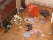 ���, �����!