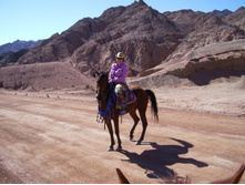 ������...�� ;)