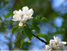 \"����� ���� ���� �����...\"