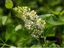 ����� ������ - 2