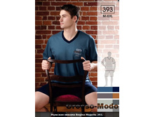 ������� ������ Regina ������ 393.jpg