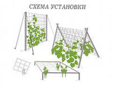 ����� ���������