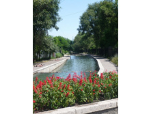 ����� ����� �����