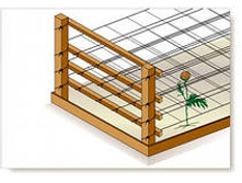 ����� ��������� ������� 