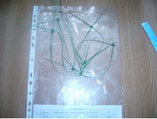 ����� ��������� 