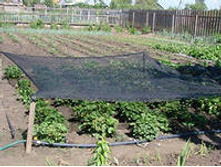 ����� �� ����