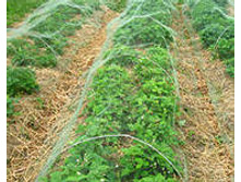 ����� �� ����