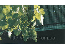 ����� �� ����