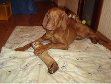 � �� ����- � ���������.JPG