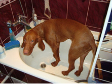 ������ ������!.JPG