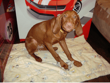 ��� �����.PNG