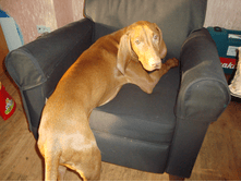 �� �����.PNG