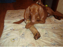 ������� �� �������.JPG