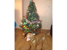 ������������ ����.JPG