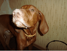 ������ ����)).PNG