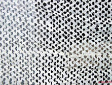 ���� ������������� �� ������� ������ (��������)